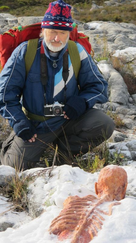 "Niewyjaśnione": Discovery Channel na tropie niewytłumaczalnych zdarzeń