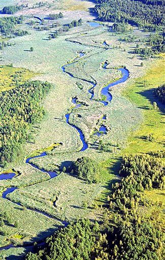 Europejski Trybunał sądzi o Rospudzie