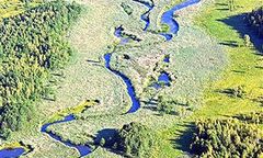 Via Baltica nie przez Rospudę, a przez Ełk?