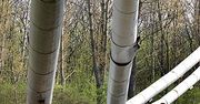 Runęły rury z gorącą wodą zahaczone przez dźwig