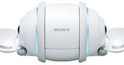 Sony Rolly - zatańczy, jak mu zagrasz