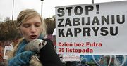 Protest przeciwko zabijaniu zwierząt dla futer
