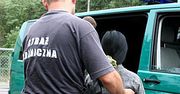 Zatrzymano 27 nielegalnych imigrantów