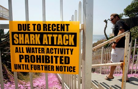 Zamknięto plaże w San Diego po tragicznym ataku rekina