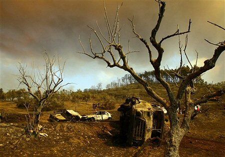 51 ofiar pożarów w Grecji, UE śpieszy z pomocą