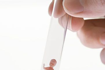 Grzech in vitro