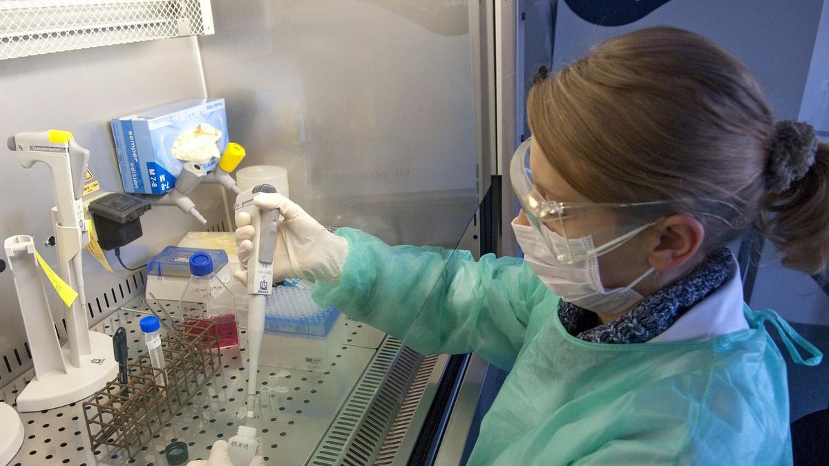 Inspektorzy Sanepidu to jedna z grup zawodowych, w których pensje - mimo wyksztalcenia i kwalifikacji - są niskie