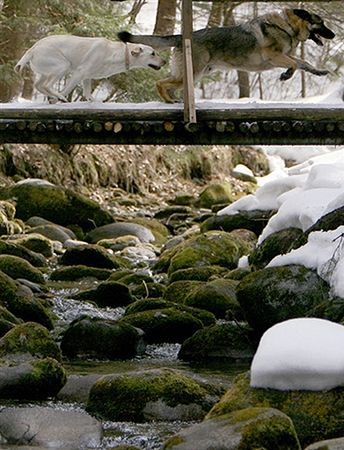 Tatry słowackie zamknięte dla turystów