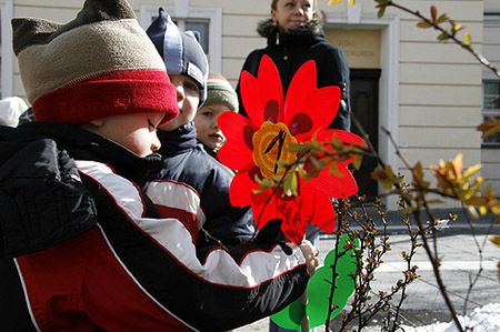 Pierwsze bociany zlatują na polski biegun zimna