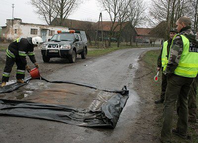 Kolejne ognisko ptasiej grypy w Warmińsko-Mazurskiem