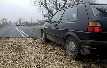 Litwa wprowadziła zakaz importu żywego drobiu z Polski