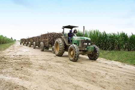 Rolnik zginął przygnieciony przez własny traktor