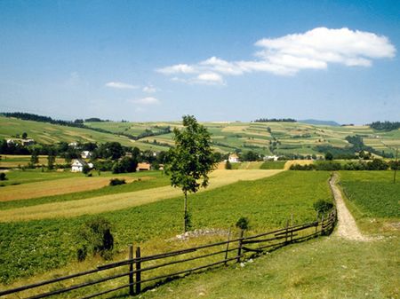 Co roku ubywa na świecie żyznych terenów