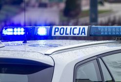 Brutalnie zabił własne psy. "Za głośno szczekały"