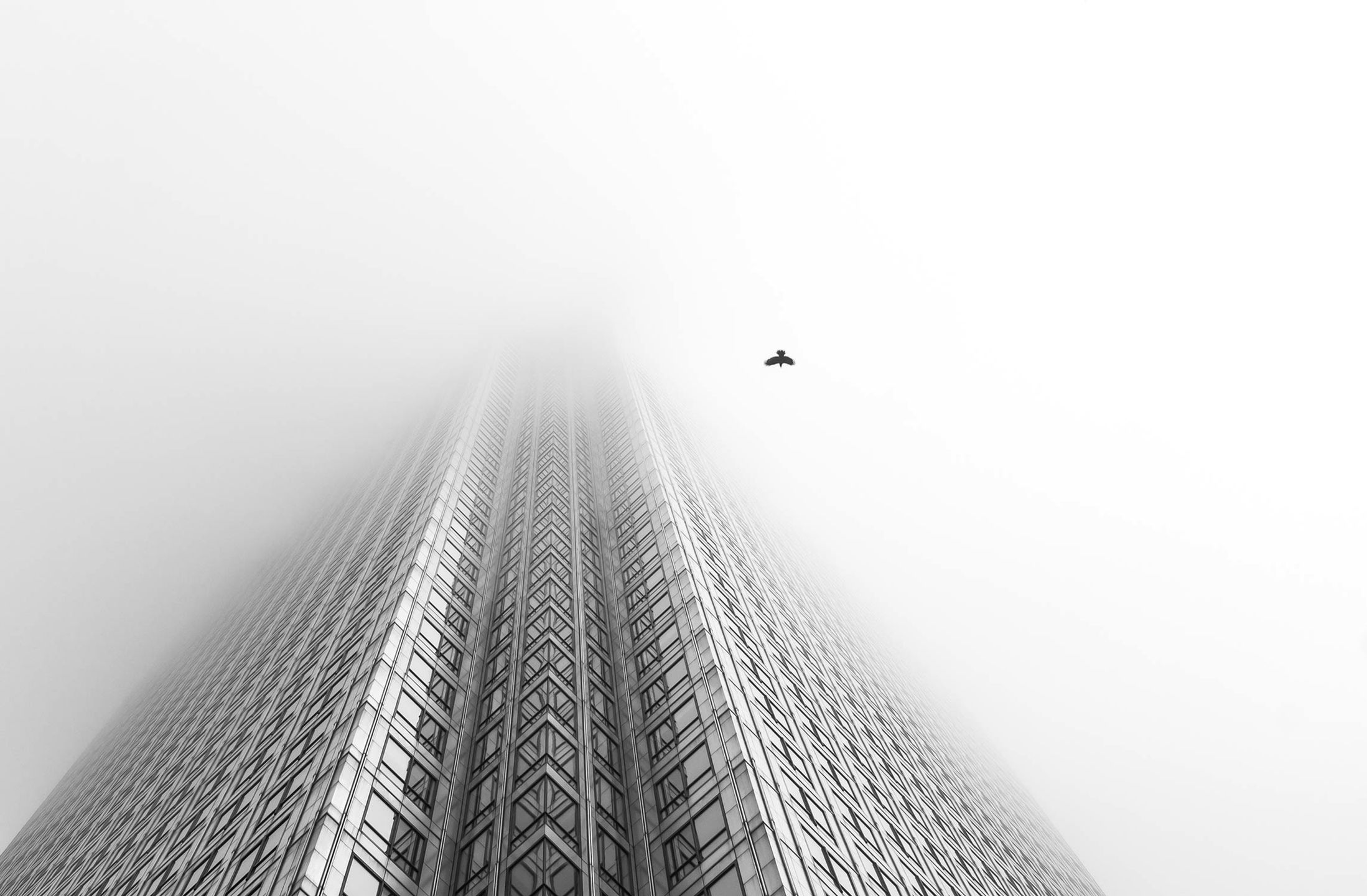 Prezentujmy Wam zwycięskie zdjęcia konkursu British Wildlife Photography Awards 2016 5