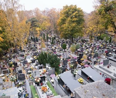 Epidemia przyspiesza. Co z cmentarzami na Wszystkich Świętych?