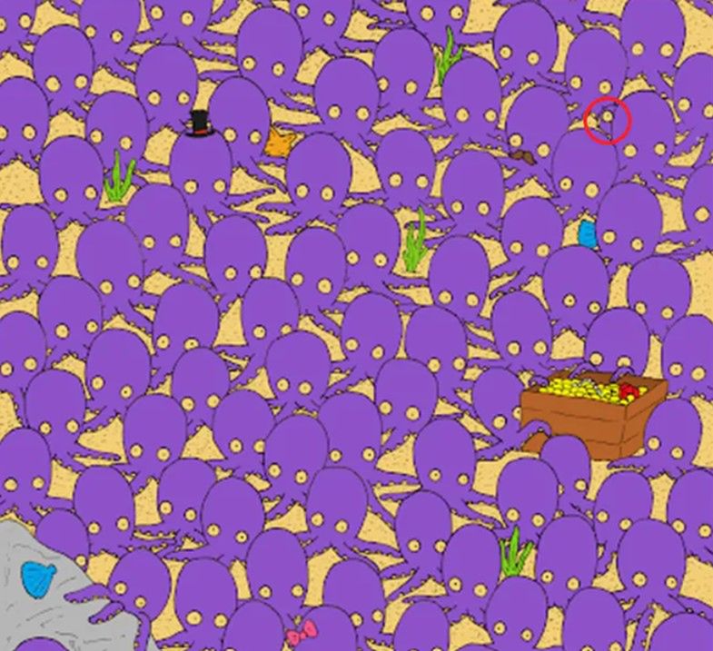 Rybka skryła się za ośmiornicą! 