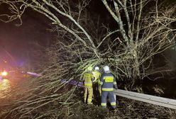 Silny wiatr na Pomorzu. Zginął 27-letni kierowca