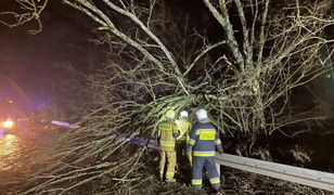 Silny wiatr na Pomorzu. Zginął 27-letni kierowca