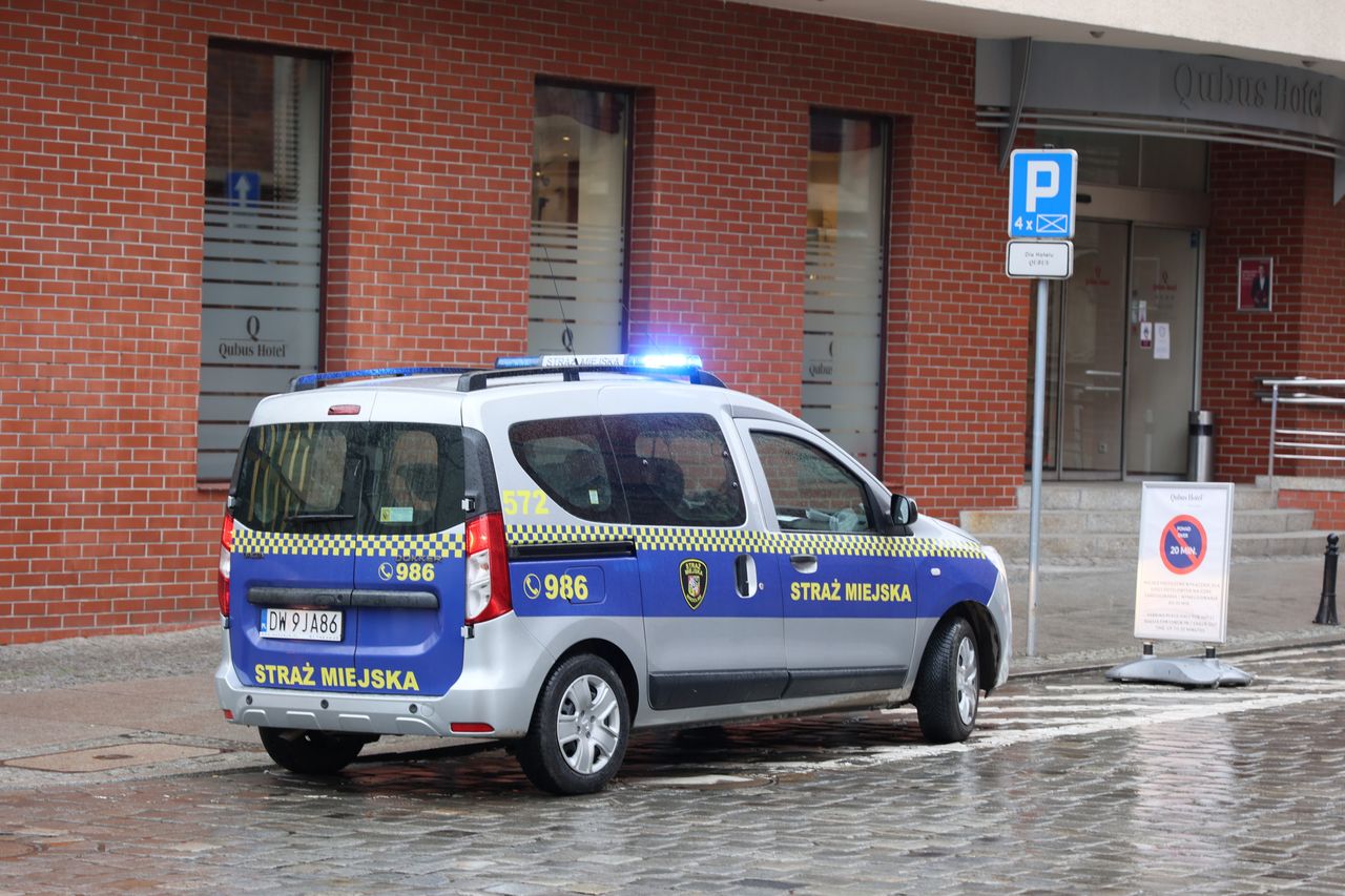 Warszawa. Zaginiona siostrzyczka. Strażnicy pomogli odnaleźć zgubę