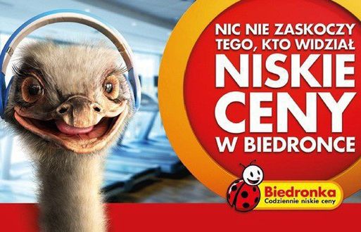 Struś na siłowni w nowej reklamie Biedronki (wideo)