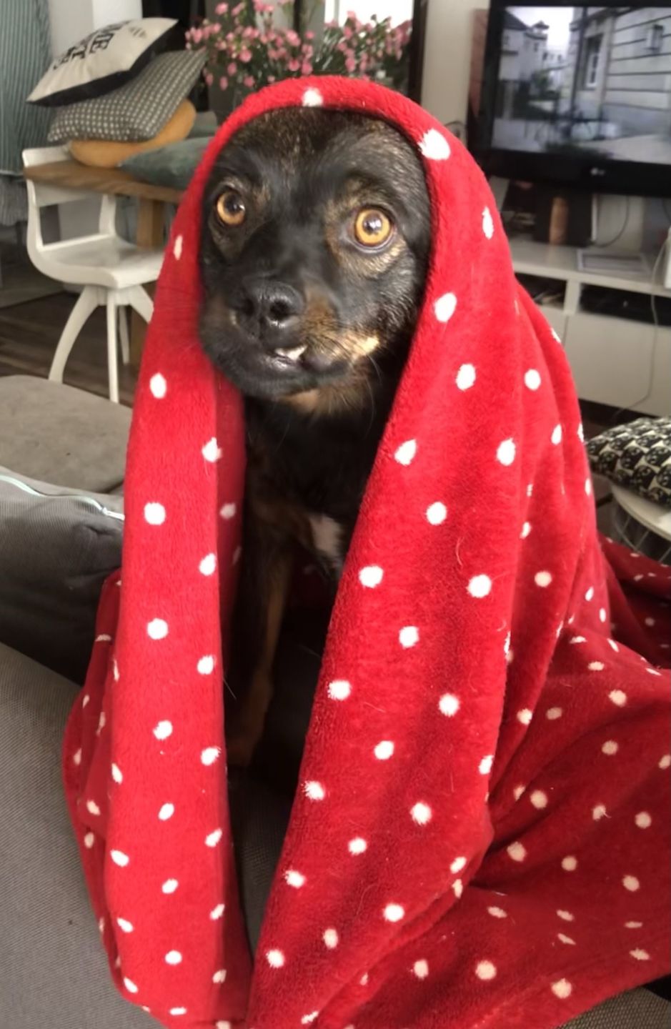 Nowe życie zaczął od zmiany imienia na Grinch