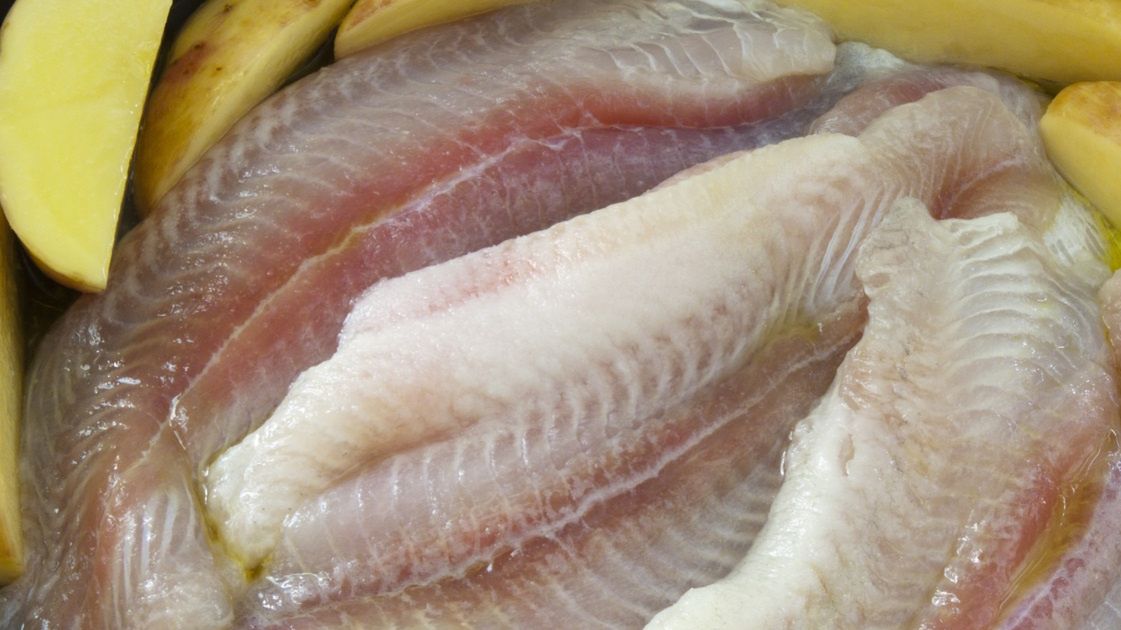 Szkodliwa panga. Unikaj jej