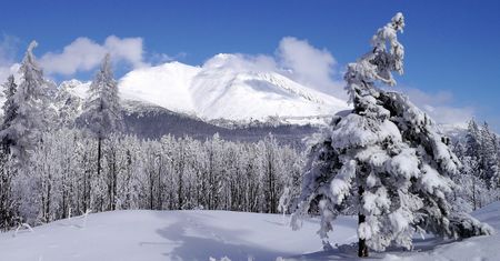 Pierwszy taki przypadek. Idziesz w Tatry? Lepiej bardzo uważaj