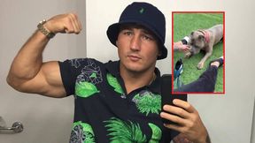 Sroka vs. Pumba. Szpilka pokazał nagranie