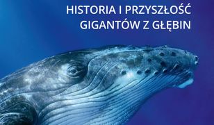 Podglądając wieloryby. Historia i przyszłość gigantów z głębin