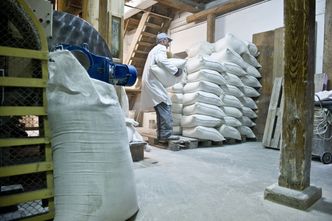 Zapomniany zawód: młynarz. Dobrze płatny i poszukiwany nie tylko w Polsce