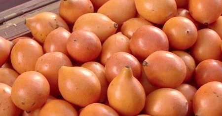 Achacha. Amazoński superfood (WIDEO)