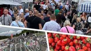 Wielu ludzi na giełdzie w Miedzianej Górze w niedzielę 8 czerwca. Jakie różności? Po ile truskawki i inne owoce i warzywa? Zobaczcie zdjęcia
