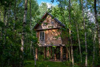 Leśne M3 dla miłośników przyrody. Cena? Jak za używany samochód