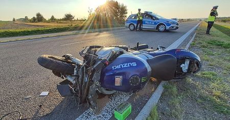 Motocyklista zginął po zderzeniu z łosiem na obwodnicy Kraśnika. Zwierzę w wyniku odniesionych obrażeń padło