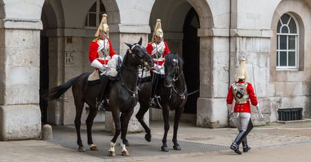 Mężczyzna usiłował się wedrzeć do Pałacu Buckingham. Pod osłoną nocy zaczął się wspinać po murze