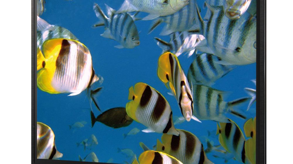 LG OLED TV. Jaki tak naprawdę jest? 1