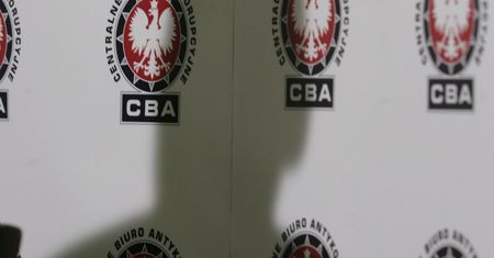 CBA zainteresowało się projektem na wykorzystanie skażonego drewna