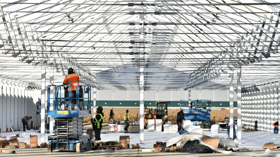 Koronawirus w Polsce. Brakuje medyków do walki z COVID-19. Poszukiwani nie tylko specjaliści