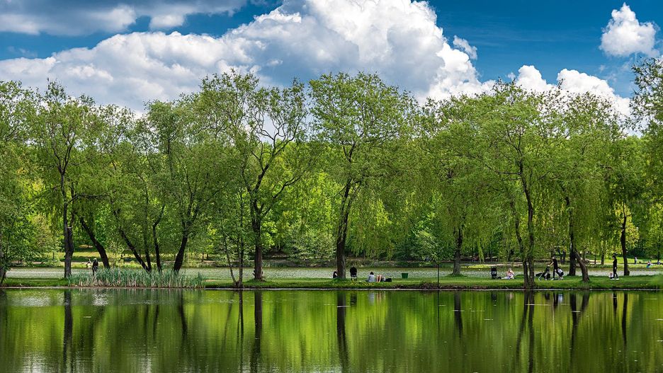 Katowice. Miasto docenione za proekologiczne działania.