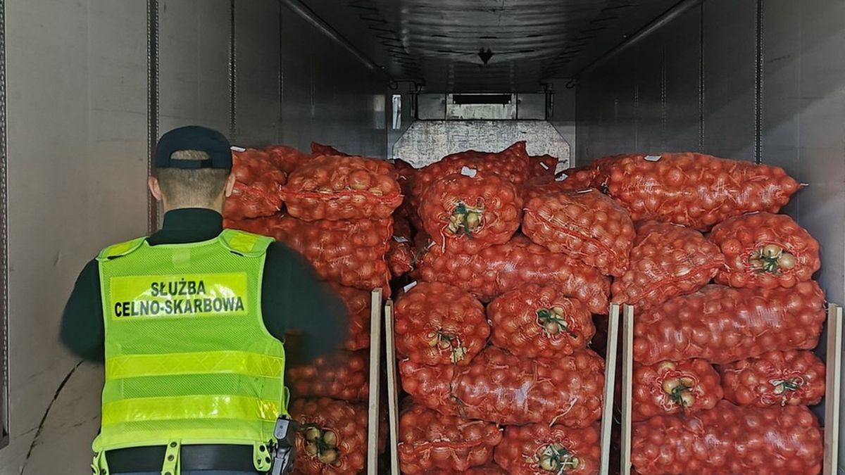 Przemyt wart ponad 435 tys. zł był ukryty w ciężarówce przewożącej cebulę