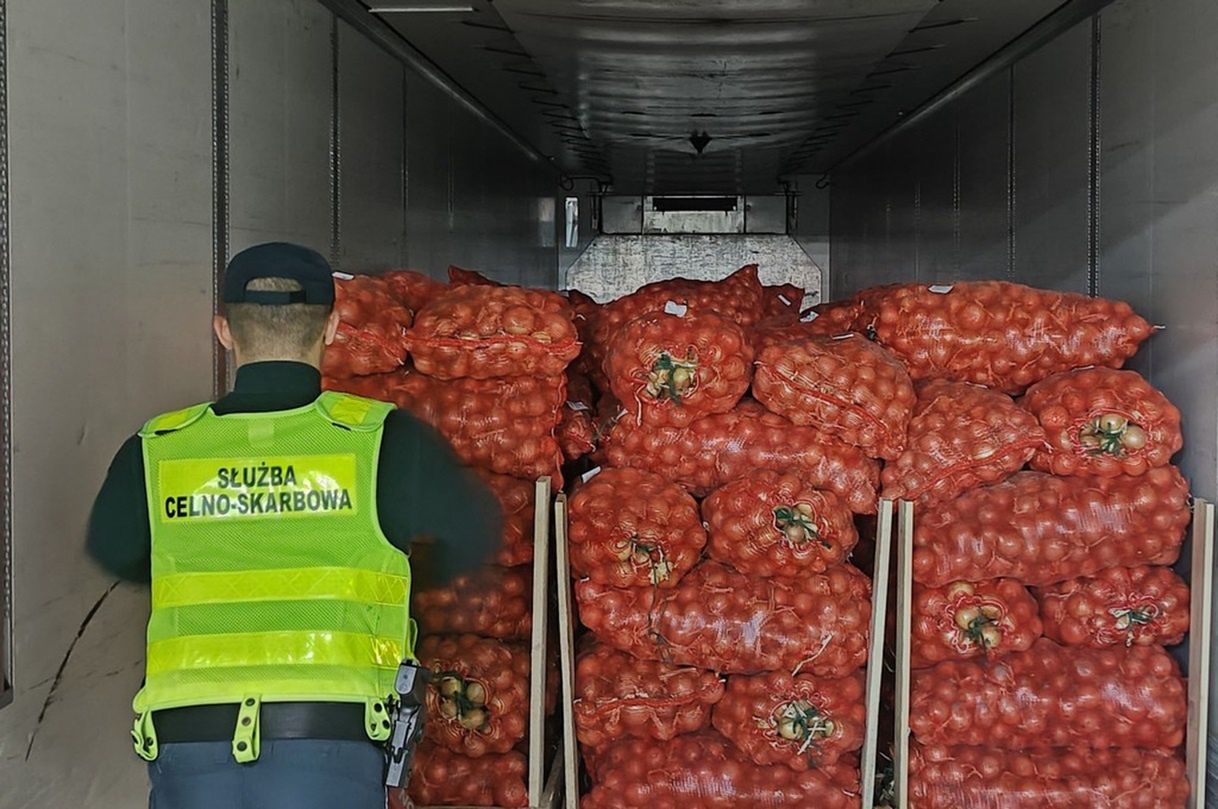 Przemyt na granicy. Oto co skrywała ciężarówka z cebulą