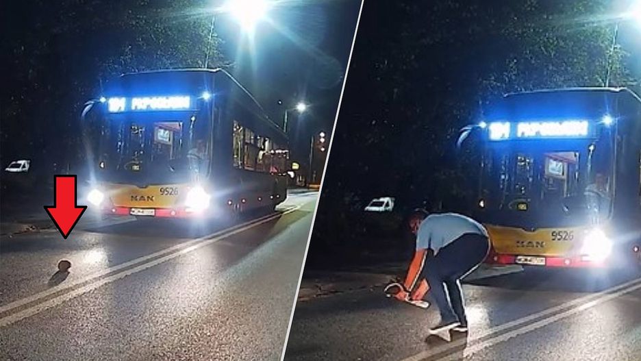 Kierowca autobusu w Warszawie uratował jeża