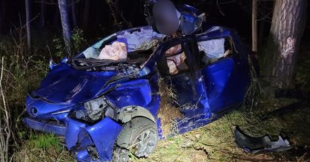 Auto wpadło na łosia. 32-latka z ciężkimi obrażeniami