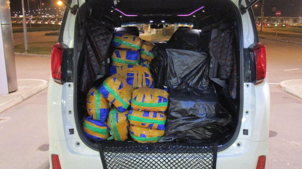 W samochodzie przekraczającym granicę odkryto nietypowy ładunek.