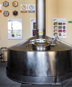 Czy wiecie, jakie piwa piją Polacy?