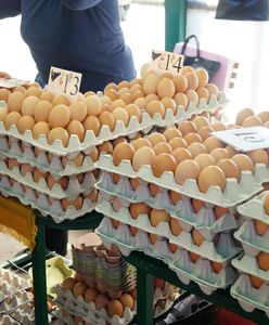 Gigantyczne podwyżki cen jaj. Wojna w Ukrainie przyspieszyła wzrosty