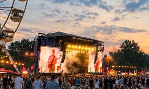Nie dla bananów. Tutaj nikt nie przyszedł się lansować