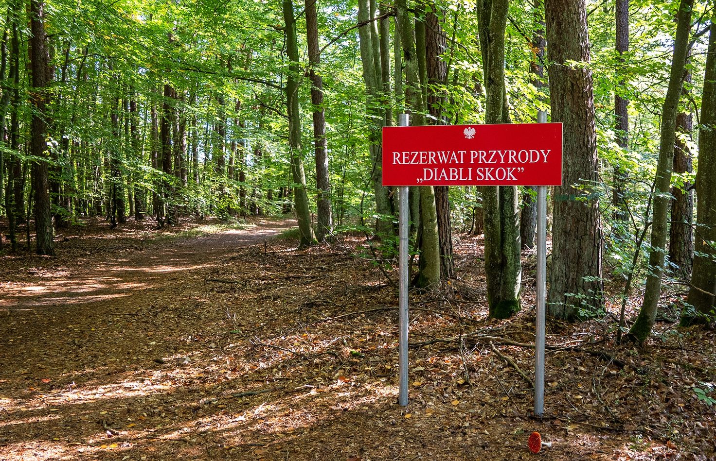 Diabli Skok. Dziki zakątek, który wygląda jak kawałek gór przeniesiony do Wielkopolski