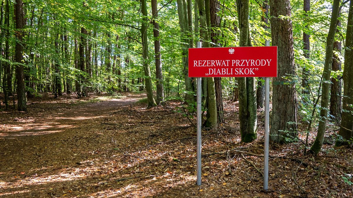 Rezerwat Przyrody "Diabli Skok"